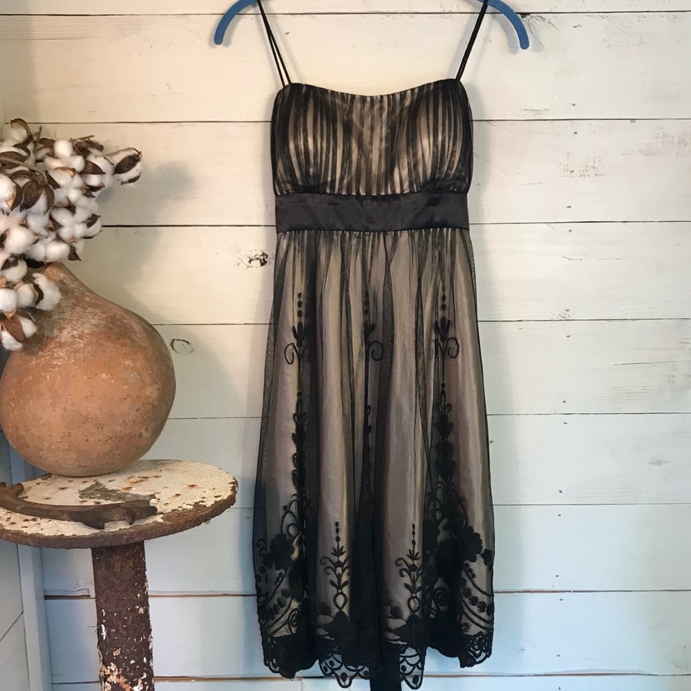 SLNY SL Fashions Black Sheer Lined Size 8P